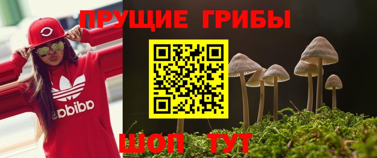 Орск  Галлюциногенные грибы Magic Shrooms  Вход с VPN 